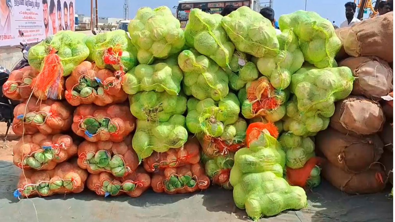 Vegetable Price Cut: Why monsoon rains reduced vegetable prices in Mumbai, Thane, Palghar by up to 35%