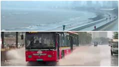Mumbai Rain Havoc: Waterlogging, potholes bring maximum city to halt, are schools closed today? IMD issues orange alert for 3 districts