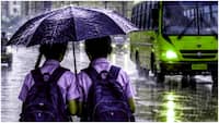 Mumbai rains havoc: Are schools, colleges closed today in Nashik, Pune? imd issues heavy rain warning – details here