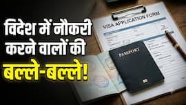 इस देश ने लॉन्च किया 3 साल वाला नया वीजा, जानें कौन कर सकता है अप्लाई; किन लोगों को होगा फायदा