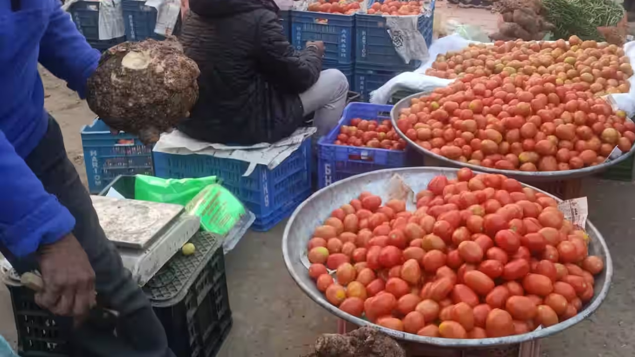 Tomato Rs 100/kg: Vegetable prices soar in Jaipur as monsoon rains disrupt supply thunderstorm rain imd forecast