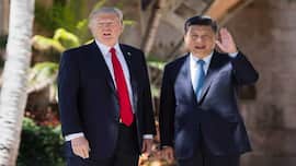 Acquired 220 million US voter files: Trump claims China carried out largest compromise of election data in history during 2020 US poll