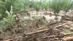 Jammu and Kashmir: Cloudburst triggers flash flood in Anantnag's Chittergul, residential areas damaged