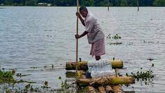 Assam Floods: Death toll climbs to 80; Govt announces 6-month loan moratorium in affected districts, check IMD weather update