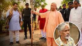 Opinion: यूपी ने रचा इतिहास, एक दिन में लगाए 35 करोड़ से ज्यादा पौधे; जानें कैसे बदलेगी आने वाली पीढ़ियों की तस्वीर