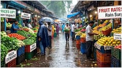 Vegetable prices up, fruit rates fall in Pune as rain disrupts supply chains – Why are veggies witnessing price swings?