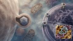 क्या है Gene Therapy? जिसके ट्रायल के बाद हुई 6 साल की बच्ची की मौत, चीन पर उठे गंभीर सवाल
