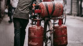 LPG, CNG, PNG Prices Today, August 12 BIG Update: government ensures uninterrupted supply; Will prices come down in Delhi, Kolkata, Chennai, Mumbai?