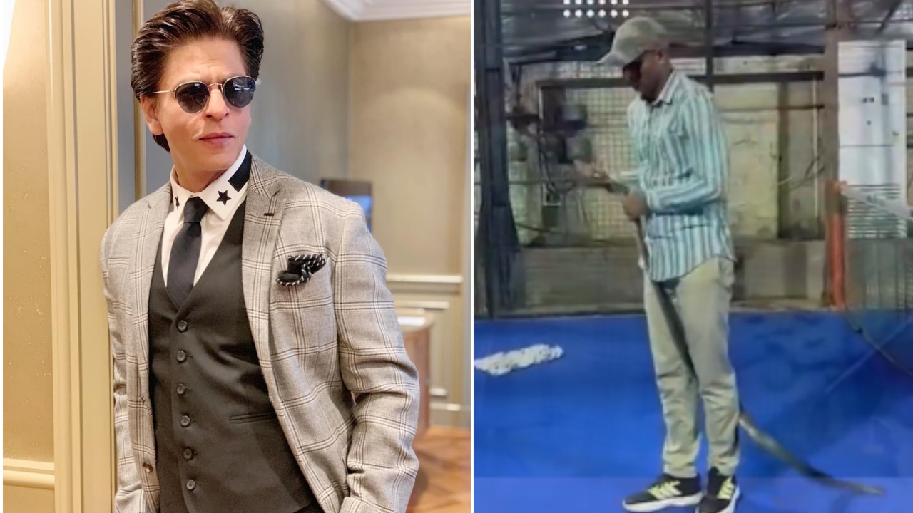 8-foot snake rescued from Shah Rukh Khan’s Mannat after two spotted in lawn area