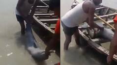 Man catches rare dolphin in Bihar, takes it home; arrested after video surfaces