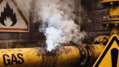 West Bengal: 25 hospitalised after toxic gas leaks from ice factory in Shapukur area of North 24 Parganas district