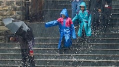 Himachal Pradesh weather: Heavy rains wreak havoc, Kalka-Shimla rail line damaged, several trains cancelled