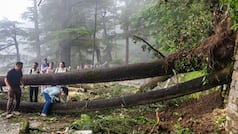 90 people dead, 109 roads closed: Rain wreaks havoc in Himachal, 54-year-old bridge washed away in floods