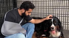 Jr NTR mourns pet dog Bagheera’s death: ‘A kind of comfort only you could give’