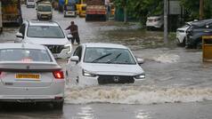 Maharashtra Rain Update: Mumbai, Thane, Nashik, Nagpur, Satara, Sangli, Ratnagiri to witness rainfall, IMD issues alert