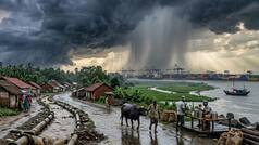 Maharashtra Monsoon Update: Mumbai, Thane, Nagpur, Nashik, Satara, Sangli, Pune likely to see heavy rain, IMD issues alert
