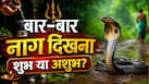 Sawan 2026: सावन में बार-बार नाग दिखना क्या देता है कोई खास संकेत? जानें धार्मिक और वैज्ञानिक कारण Sawan 2026: सावन में बार-बार नाग दिखना क्या देता है कोई खास संकेत? जानें धार्मिक और वैज्ञानिक कारण
