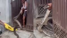 Man wrestles with huge snake as it tries to enter his house in Uttar Pradesh’s Meerut; watch video