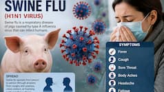 Swine flu cases rising in Delhi; what are the symptoms? Doctors issue warning and advise caution