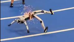Humanoid robot smashes into barrier, breaks in half at Robotic Olympic trials in China | Viral