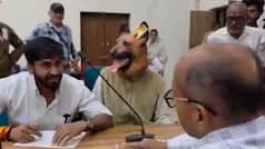 ‘Dog’ at public hearing? Madhya Pradesh protester uses unique costume to highlight stray menace in Khandwa | Viral video