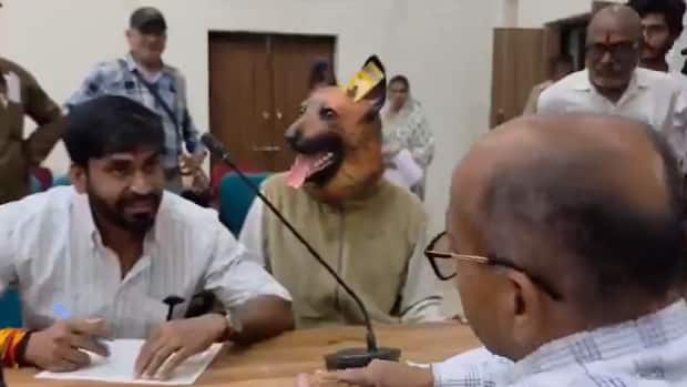 ‘Dog’ at public hearing? Madhya Pradesh protester uses unique costume to highlight stray menace in Khandwa | Viral video