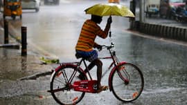 Delhi Weather: IMD issues heavy rain, thunderstorm warning, are schools closed today? Check forecast for Noida, Ghaziabad, Gurugram