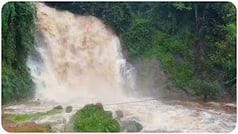 Kerala Rain Havoc: 1 Killed, several feared trapped as heavy rain triggers landslides