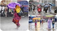 Maharashtra weather August 8: IMD issues heavy rainfall alert, will schools be closed? Check IMD forecast for Mumbai, Raigad, Palghar, Thane, Nagpur