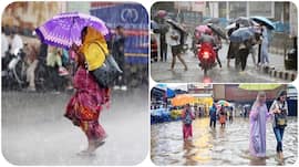 Maharashtra weather August 8: IMD issues heavy rainfall alert, will schools be closed? Check IMD forecast for Mumbai, Raigad, Palghar, Thane, Nagpur