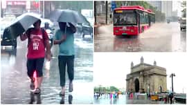 Maharashtra Weather, August 12: IMD issues Heavy rain warning, will schools be closed tomorrow? – Check forecast for Mumbai, Pune, Nagpur, Palghar