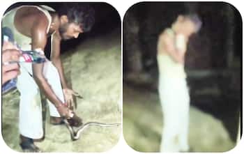 Disturbing Video: Drunken man bites cobra after it bites him three times, says ‘How dare it bite …?’ - video goes viral on internet