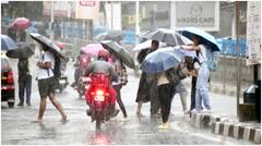 Mumbai Weather: IMD issues rain warning, high tide alert, will schools be closed today? Check weather forecast for Palghar, Thane, Raigad