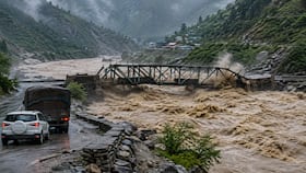 india.com top news