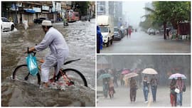 Weather Forecast August 19: 25 states under heavy rain warning, yellow alert for Himachal – check forecast for Delhi, Mumbai, Uttarakhand