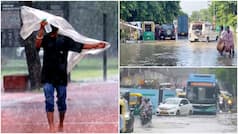 Weather forecast August 25: Heavy rain, thunderstorms, gusty winds to lash several states – Check IMD forecast for Maharashtra, Delhi, Odisha, Uttarakhand, Himachal