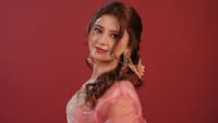 Bigg Boss 20: Who is Arishfa Khan? Meet BB's youngest contestant with highest Instagram fan following