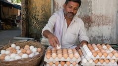 Egg prices witness massive rise; 48 percent of families cut purchases, 90 percent concerned over quality