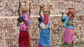 PFRDA eyes mobile pension accounts, UPI contributions to bring informal workers into NPS