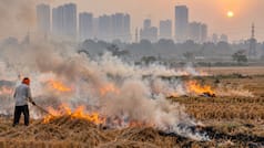 Winter Warning Bell: 'Aggressive Threat' emerges, Diwali could bring breathing trouble, stubble-burning incidents to...