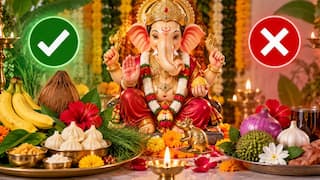 गणपति बप्पा को भूलकर भी न चढ़ाएं ये चीजें, जानें क्या अर्पित करें और क्या नहीं