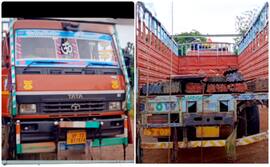 8 dead, including 3 children, after truck collides with pickup van on Nagpur–Raipur National Highway in Maharashtra’s Bhandara