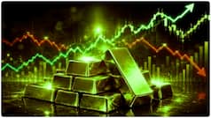 Is gold rate heading for its biggest decline? Prices likely to fall below Rs 1.10 lakh? Bank of America says...