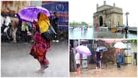 Maharashtra weather update: IMD issues orange alert for these districts - Check forecast for Mumbai, Thane, Satara, Pune, Nagpur, Raigad