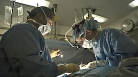 26-year-old man seeks help for infertility, doctors in Delhi find uterus-like structure, fallopian tubes inside his body