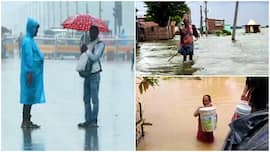 Weather Tomorrow, September 13: Rain, thunderstorm warning, Odisha under Yellow alert – Check forecast for Delhi, Maharashtra, Bihar, UP, Uttarakhand, Tamil Nadu