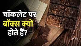 छोटे-छोटे टुकड़ों में ही क्यों आती है चॉकलेट, रोज खाते होंगे मगर जवाब पता ही नहीं होगा