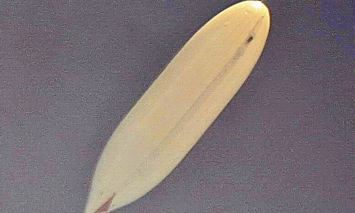 Big boost to stratospheric surveillance! DRDO successfully tests Indigenous High-Altitude Airship at 21 km