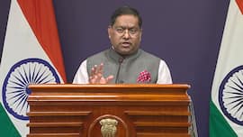 India raises deep concern over alleged mass shooting plot at Hindu temple in Illinois, urges protection for Indians