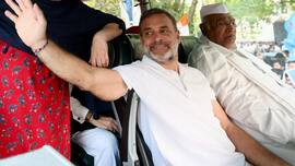 All protests are one: Rahul Gandhi invites opposition MPs, student groups for tea amid demand for CECs resignation